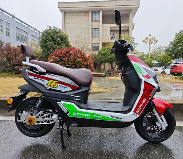 Electric Motorcycle For Adult